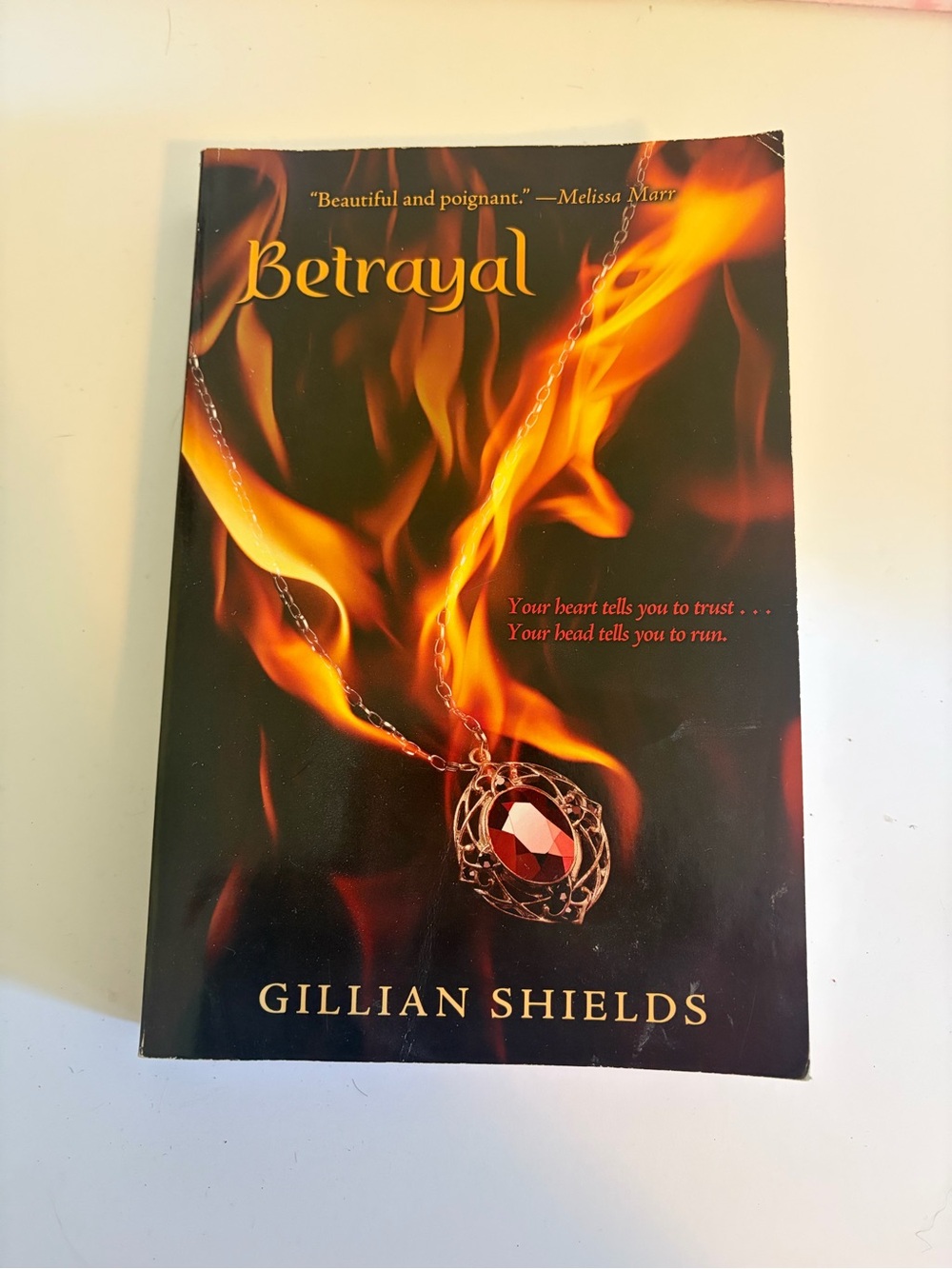 Betrayal ADULT Novel. By Gillian Sheilds